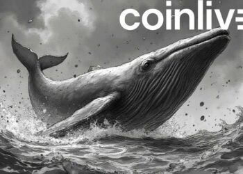 giant whale crypto influence