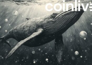 whale anticipation ink drawing