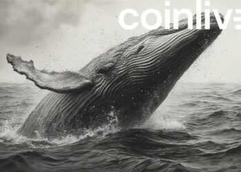 whale financial strength ink