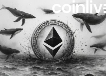 Ethereum Whale Accumulation and Market Dynamics