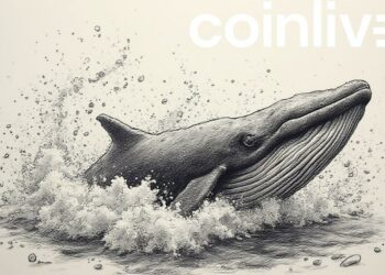 Ethereum's Bull Run Fueled by Whale Activity and Institutional Backing