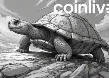 Turtle's Innovative Liquidity Leaderboard System