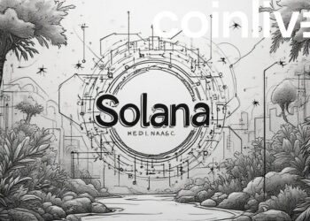 Solana Maintains Key Level Amid Rising Trading Volume