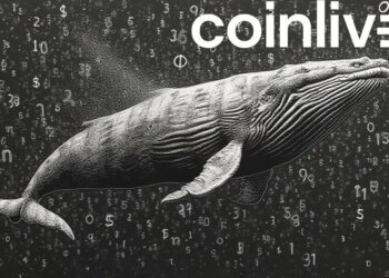 Whale Buys Propel HYPE to All-Time High