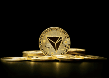 2025 10 05T144359.813Zunnamed