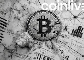 Bitcoin Market Valuation and Investments