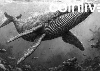 PENGU's Bullish Surge: Whale Accumulation and Growing NFT Activity