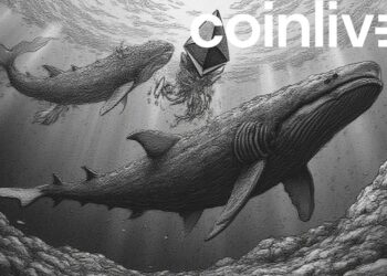 Ethereum Whales and Sharks Intensify Accumulation