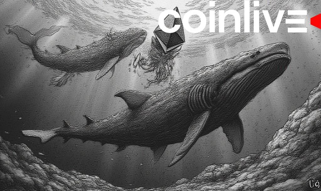 Ethereum Whales and Sharks Intensify Accumulation