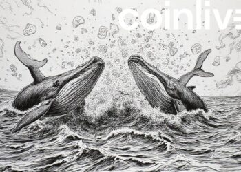 Ripple Faces Sell-Off as Whales Exit XRP Market