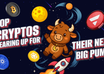 6 Best Winning Cryptos to Watch Along with the Top Crypto Presale to Buy in November