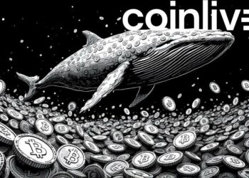 Bitcoin Whale's $2 Billion Bet Suggests Market Reversal