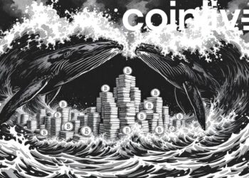 Bitcoin Whales Acquire 10,000 BTC Amid Market Volatility