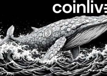 Bitcoin Whales Accumulate BTC, Impacting Market Dynamics
