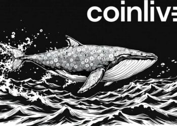Ethereum Whale Holdings Decline Amid ETH Price Drop