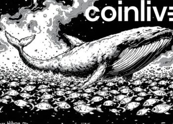 Cardano Whale Accumulation Amidst Retail Selling
