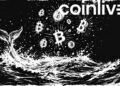 Major Bitcoin Whale Buys Entire Daily Mining Output 3 Major Bitcoin Whale Buys Entire Daily Mining Output