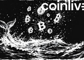 Major Bitcoin Whale Buys Entire Daily Mining Output 5 Major Bitcoin Whale Buys Entire Daily Mining Output