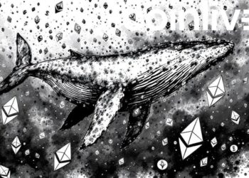 FLOKI Whale Transactions Spike on Ethereum