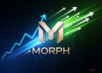 morph 150m payment accelerator stablecoin growth thumbnail