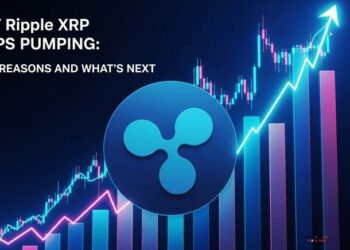 why ripple xrp keeps pumping 3 key reasons and whats next thumbnail