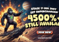 bulk hulk row 311 html image 1